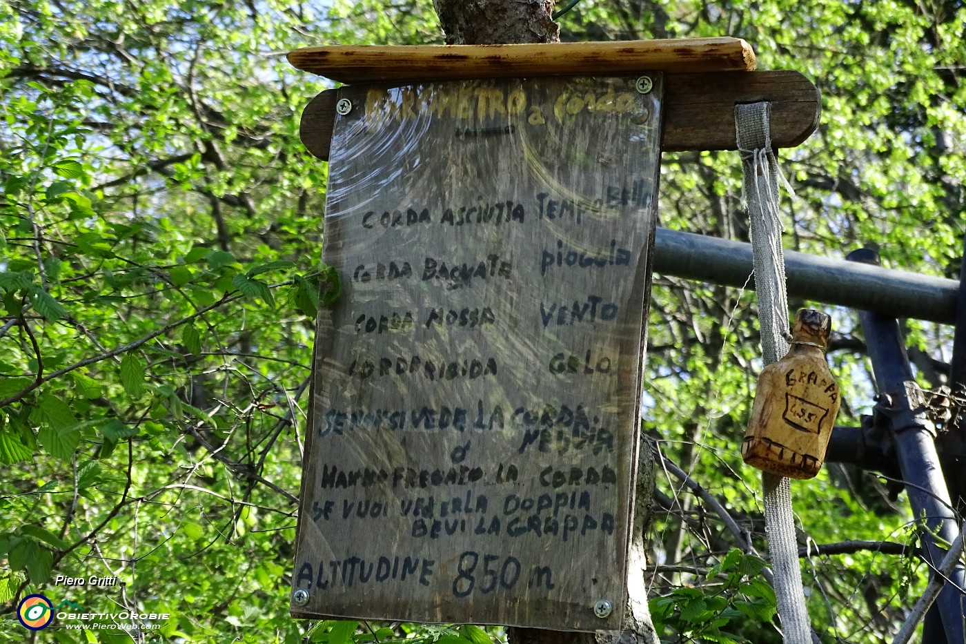 12 Curioso barometro a corda, appeso ad un albero.JPG